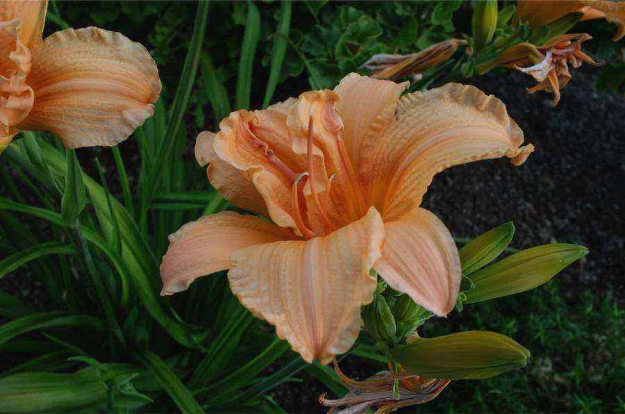 Bloemenworkshop sfeer